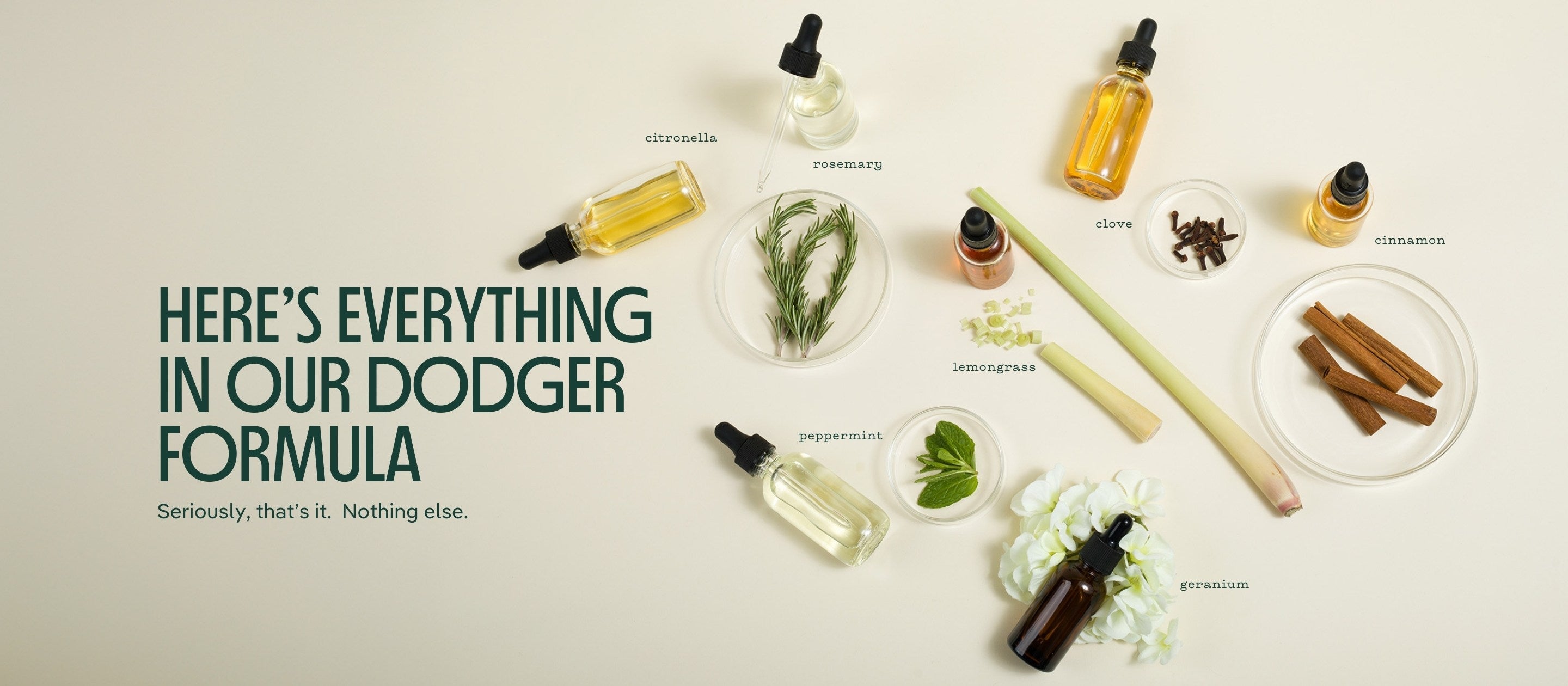 Ingredients in the Mosquito Dodger formula