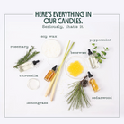 ingredients of candle with a white background