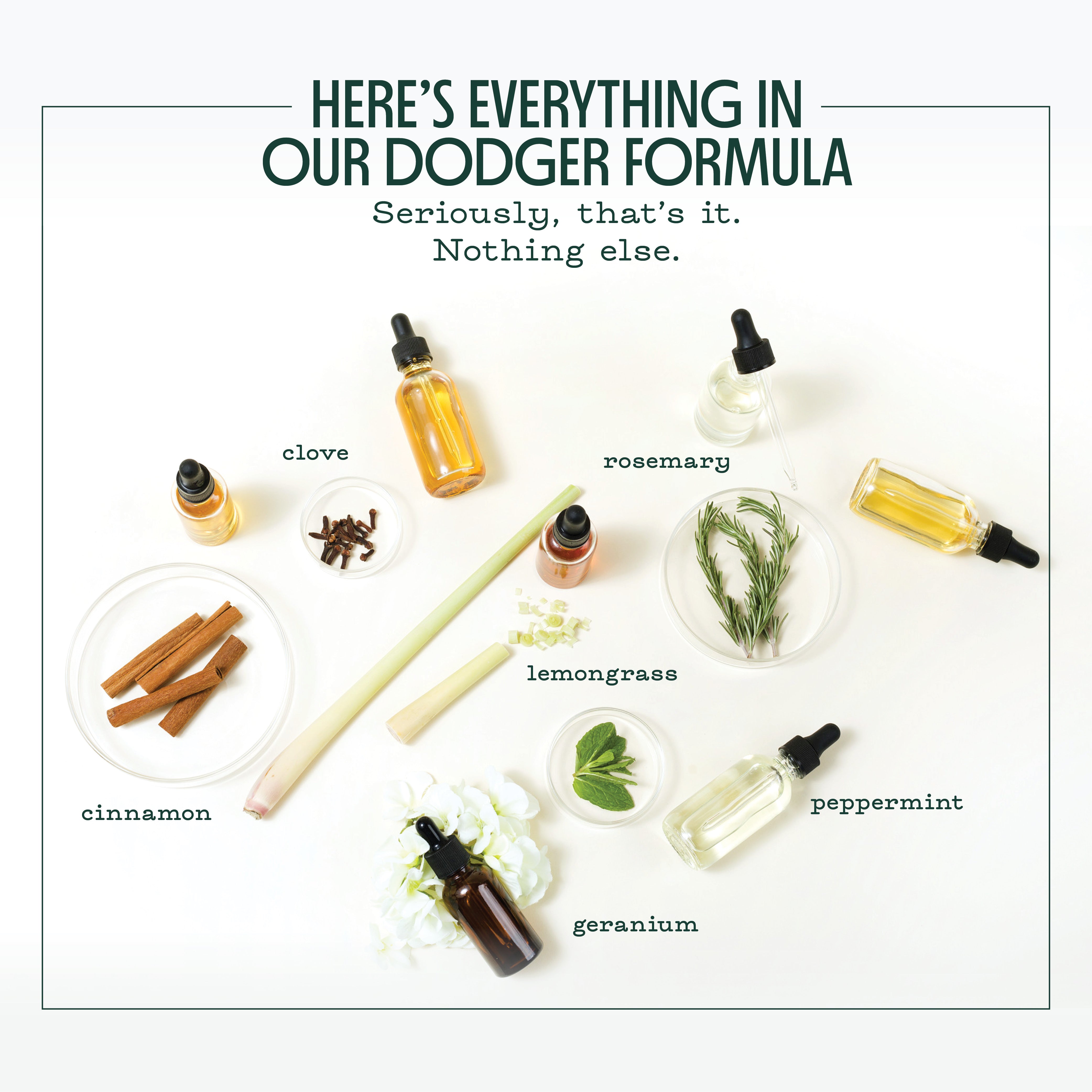 Murphy's Naturals Mosquito Dodger formula containing various essential oils. The title at the top says "Here's everything in our Dodger formula. Seriously, that's it. Nothing else."