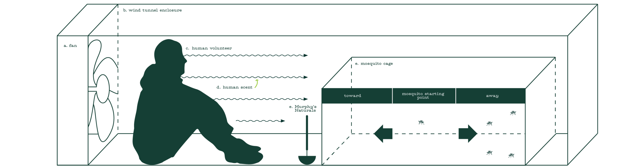 graphic depicting the efficacy testing performed for this product