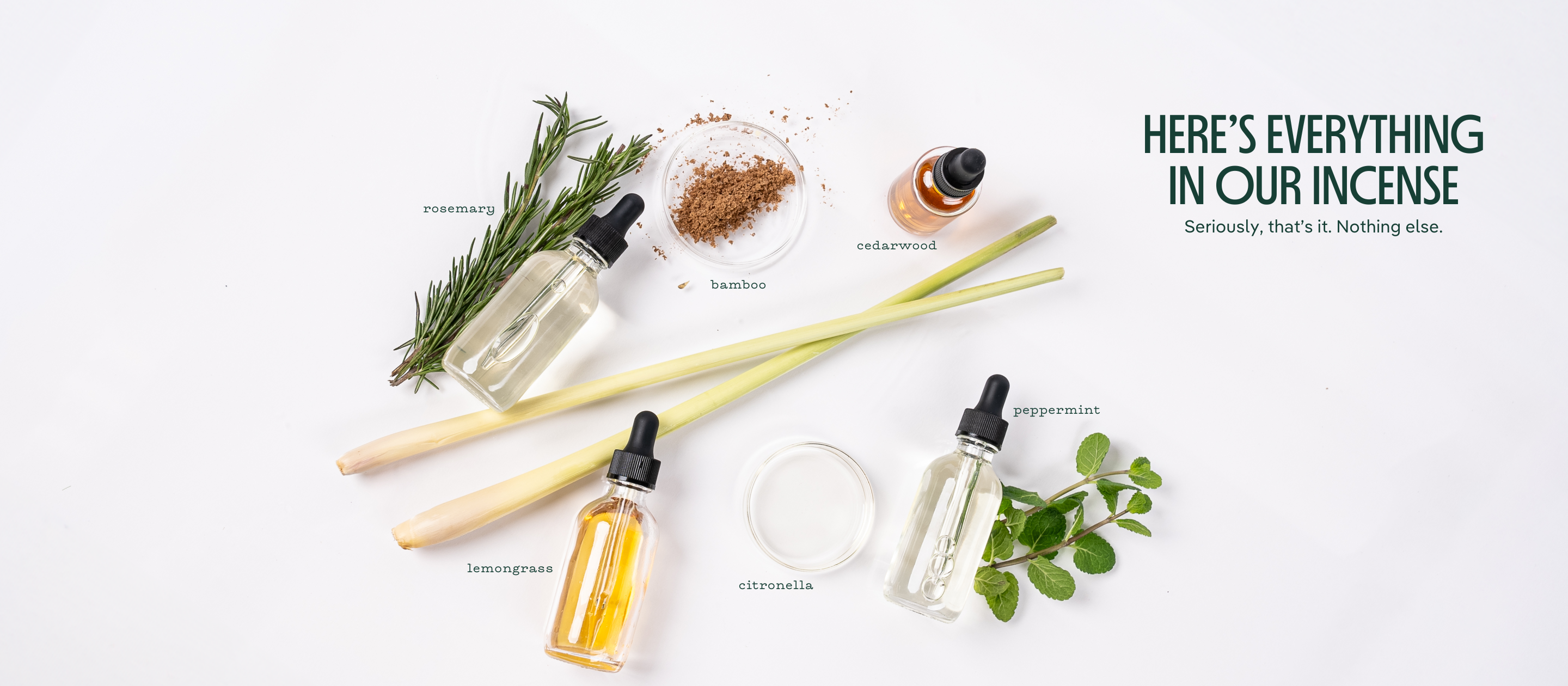 Incense ingredients laid our on a white background