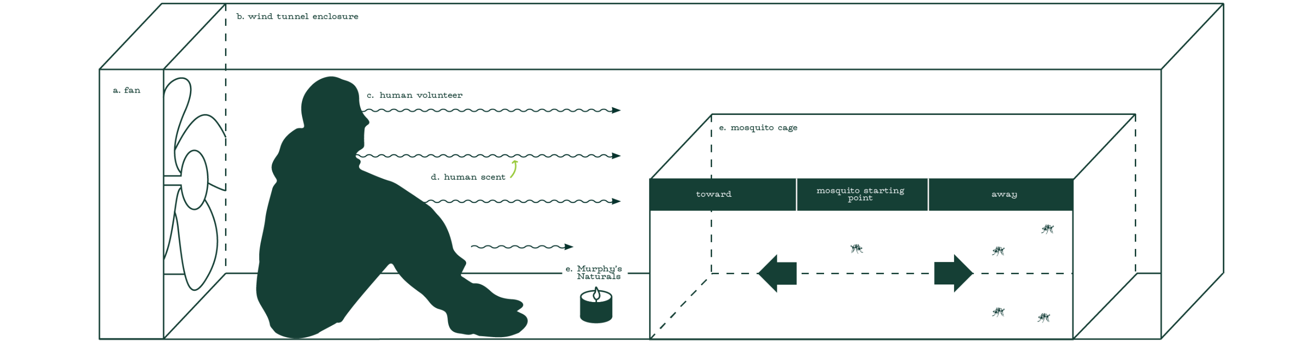 graphic depicting the efficacy testing performed for this product