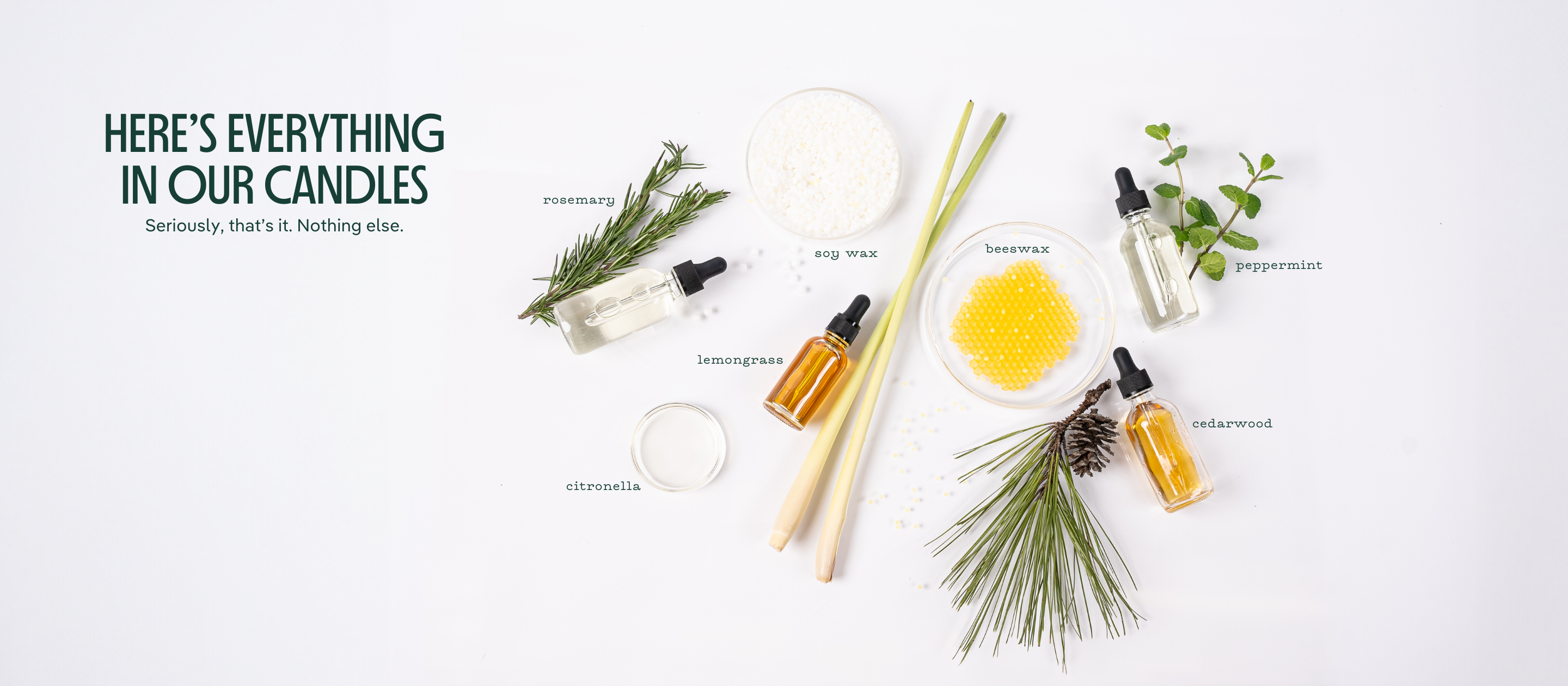 Candle ingredients on a white background