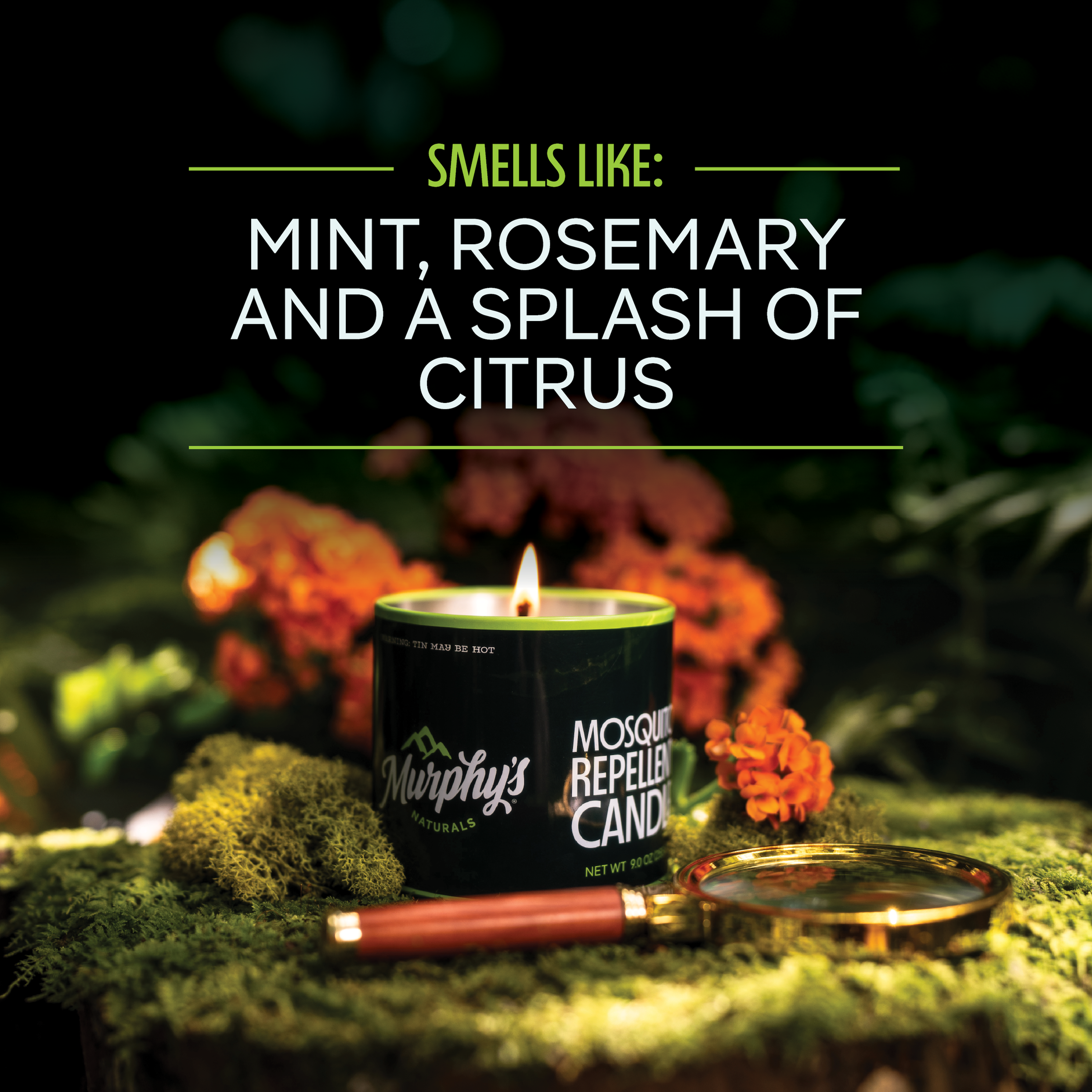 murphy's candle sitting on a mossy log with a scent descriptor