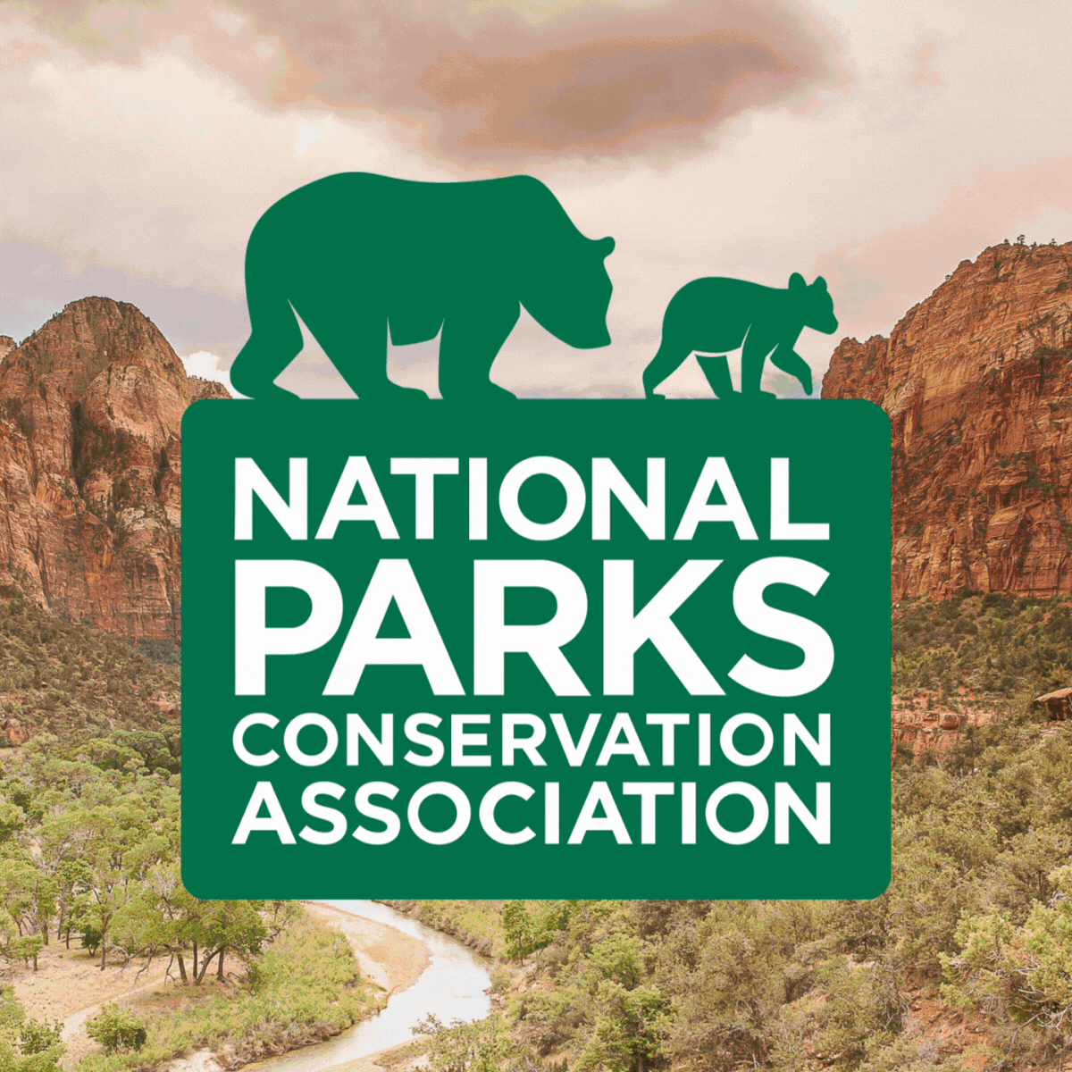 NPCA logo