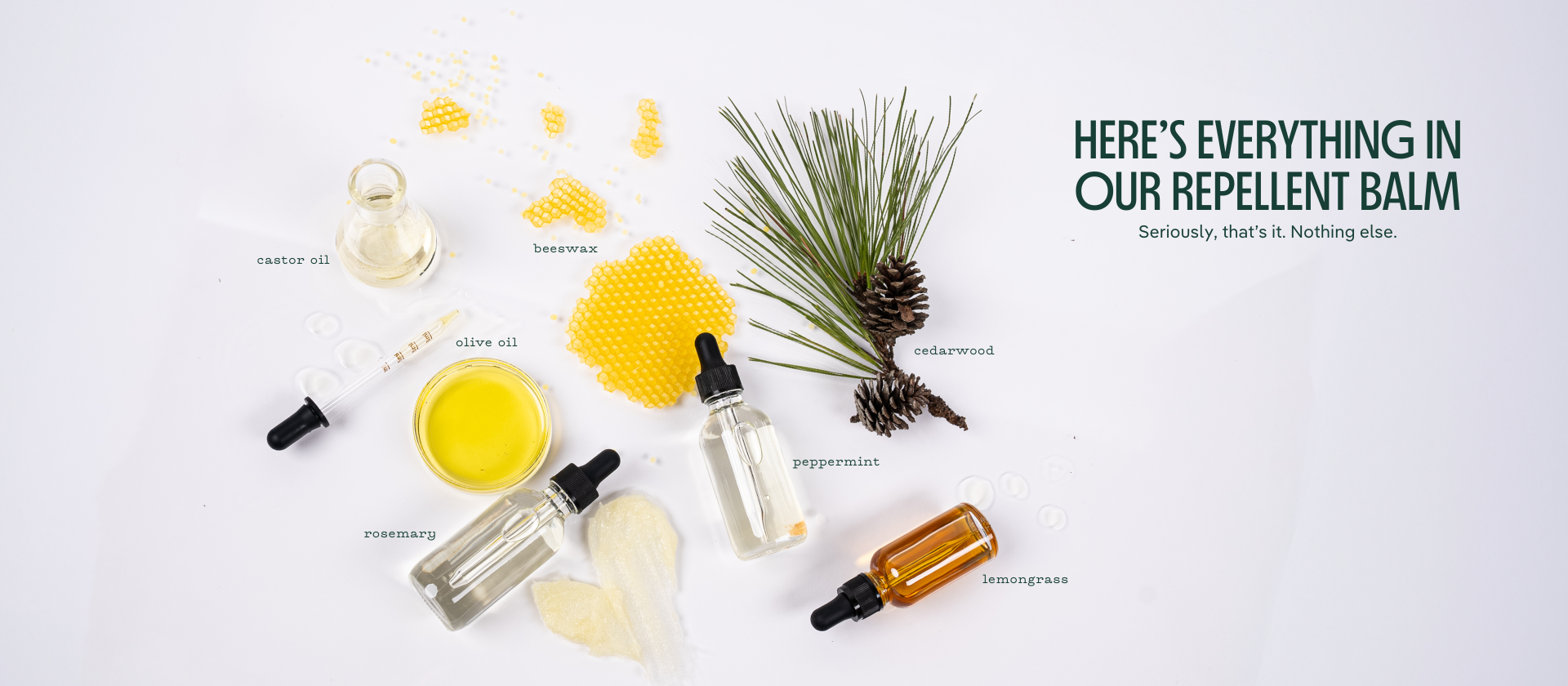 repellent balm ingredients on a white background