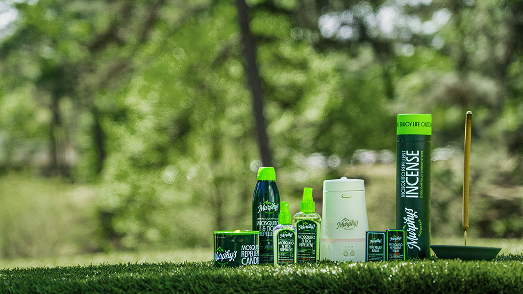 VENTURING INTO A NEW ERA - THE WHY BEHIND OUR REBRAND