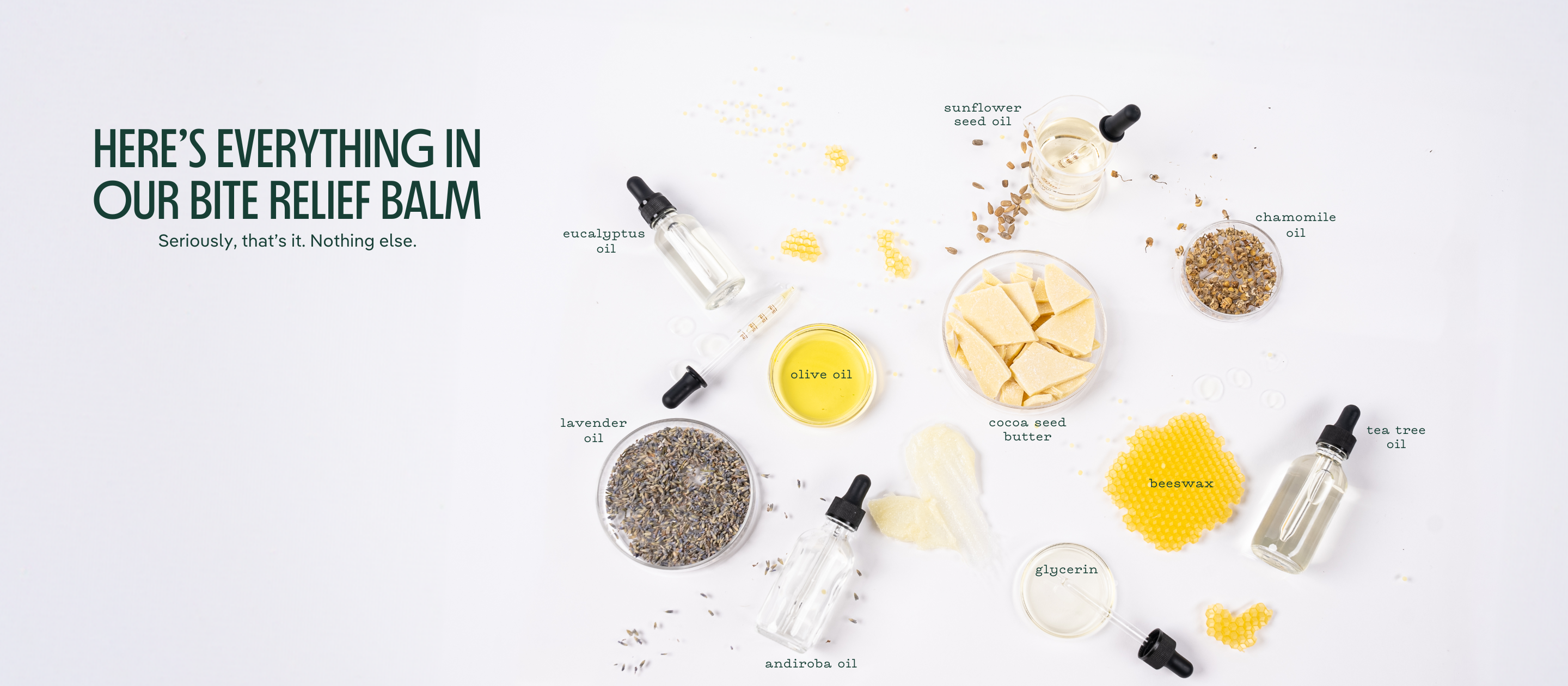Bite Relief Balm Ingredients on a white background