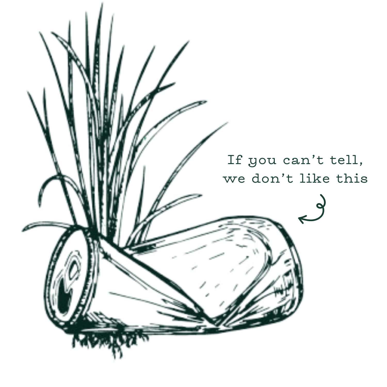 Crumpled up soda can in front of grass, text saying, "if you can't tell, we don't like this"
