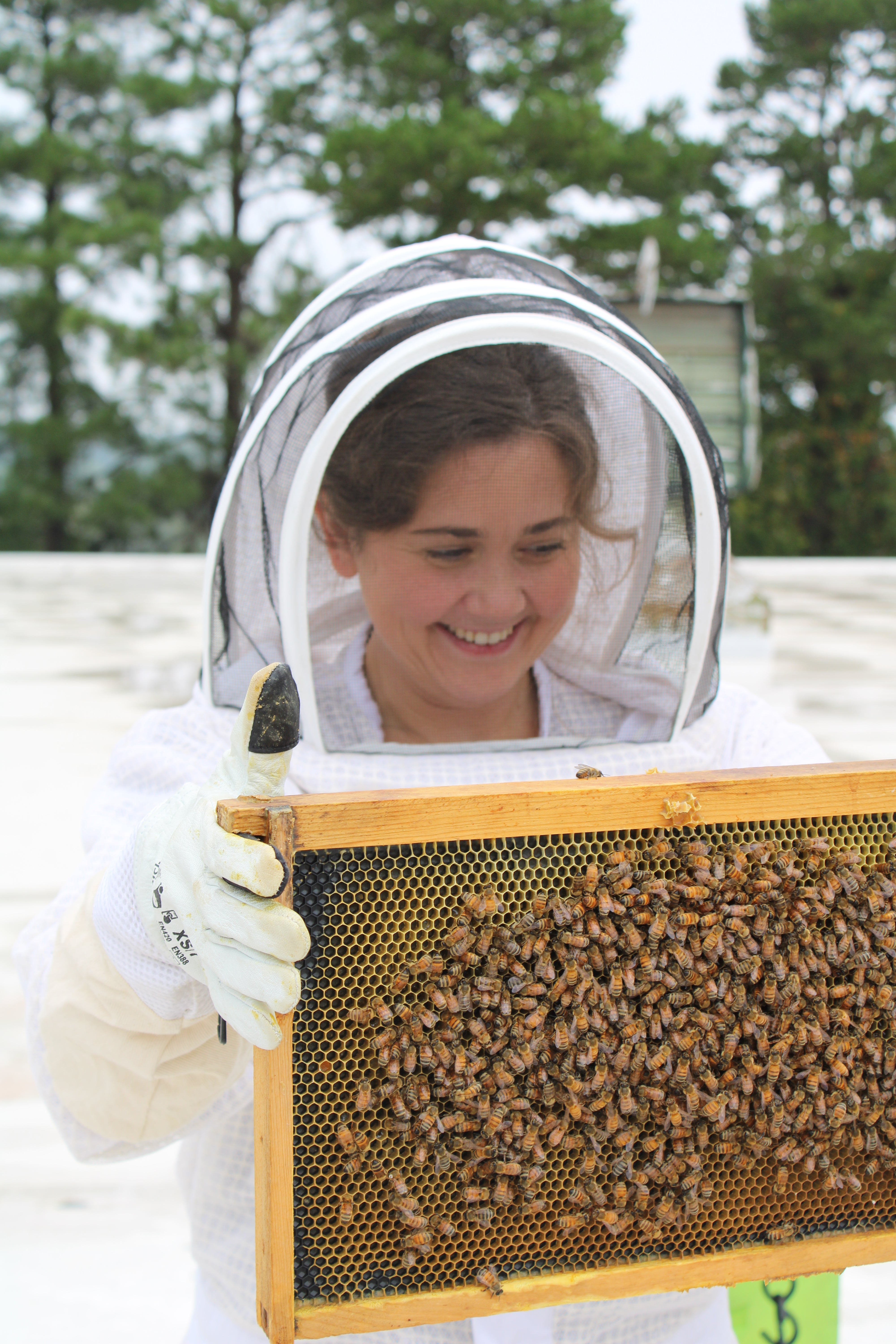 Person wearing a beekeeping suit holding a frame with bees outdoors.