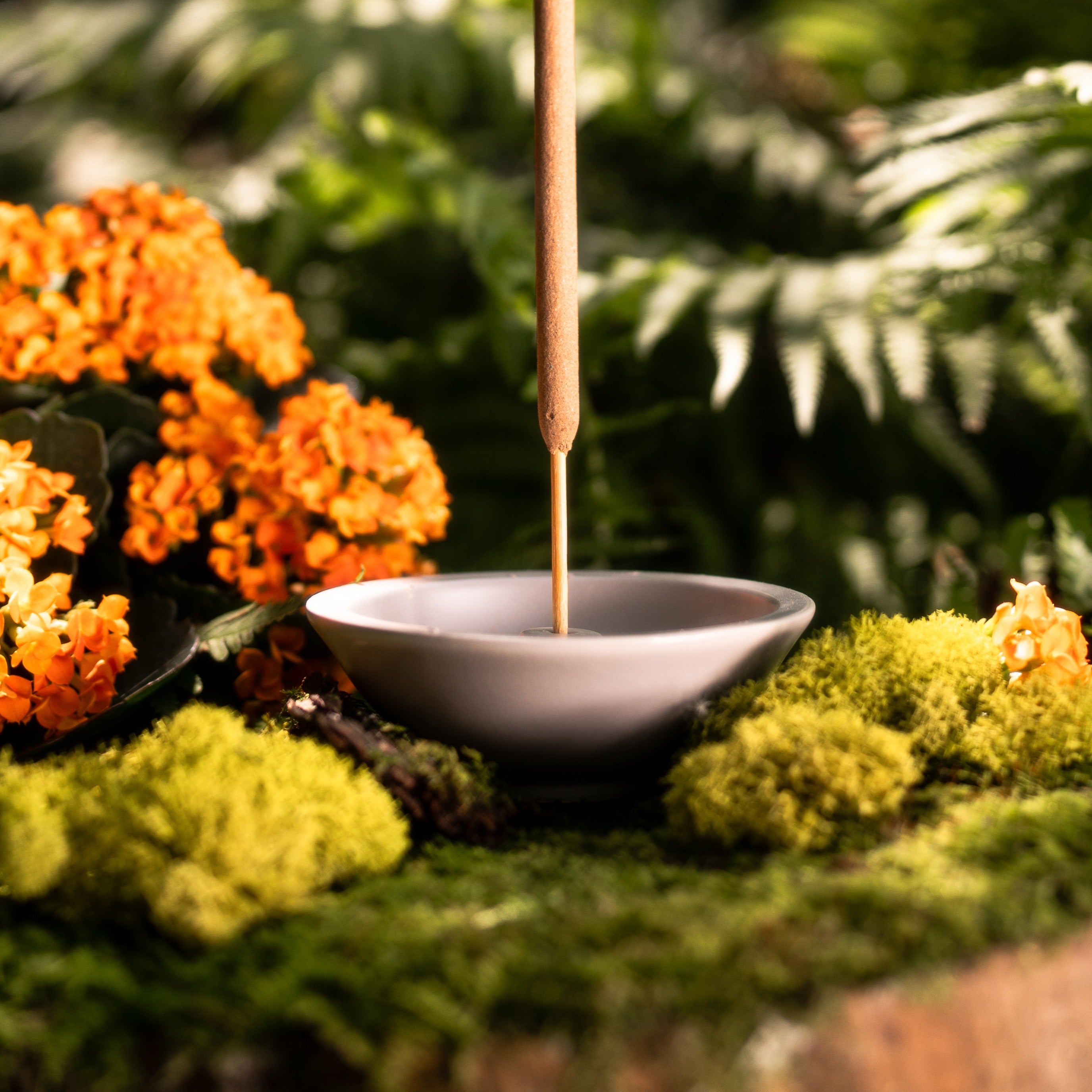 INCENSE STICK HOLDER – Murphy's Naturals