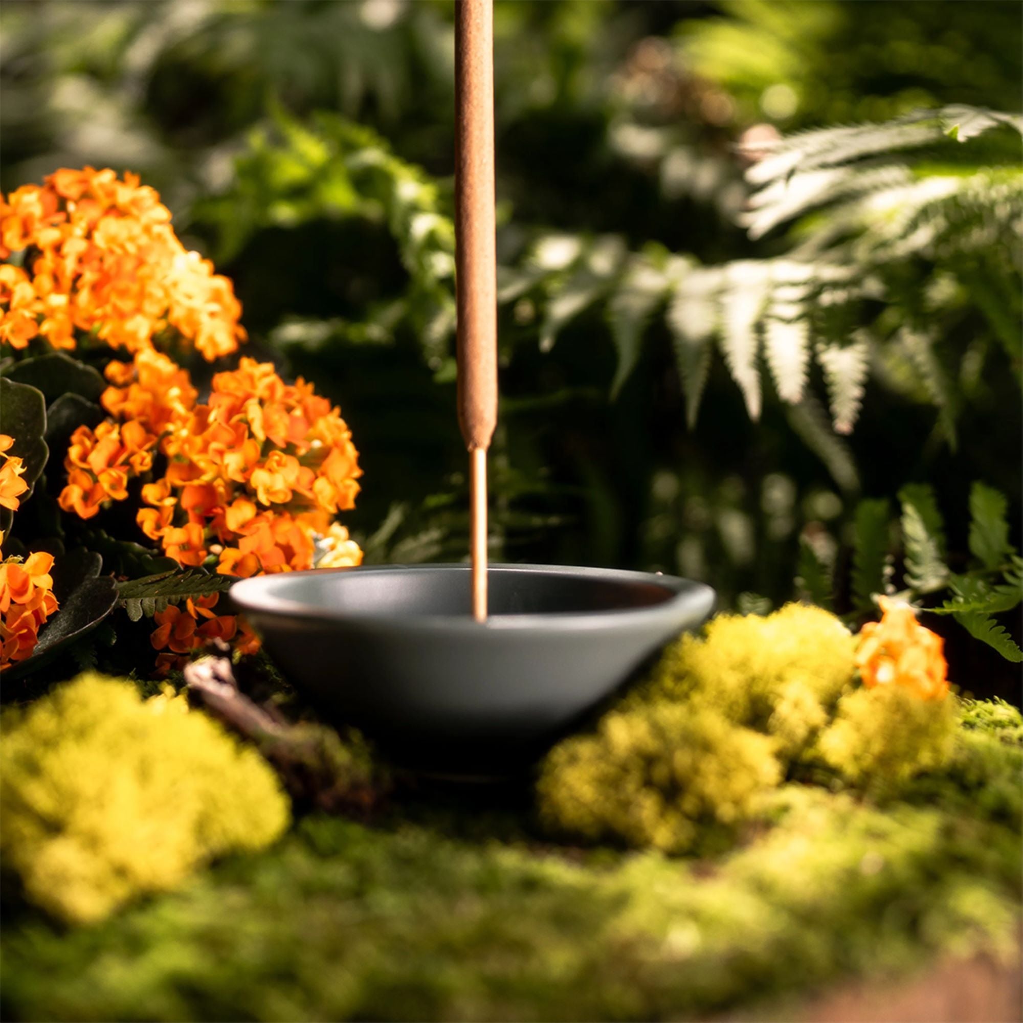 INCENSE STICK HOLDER – Murphy's Naturals