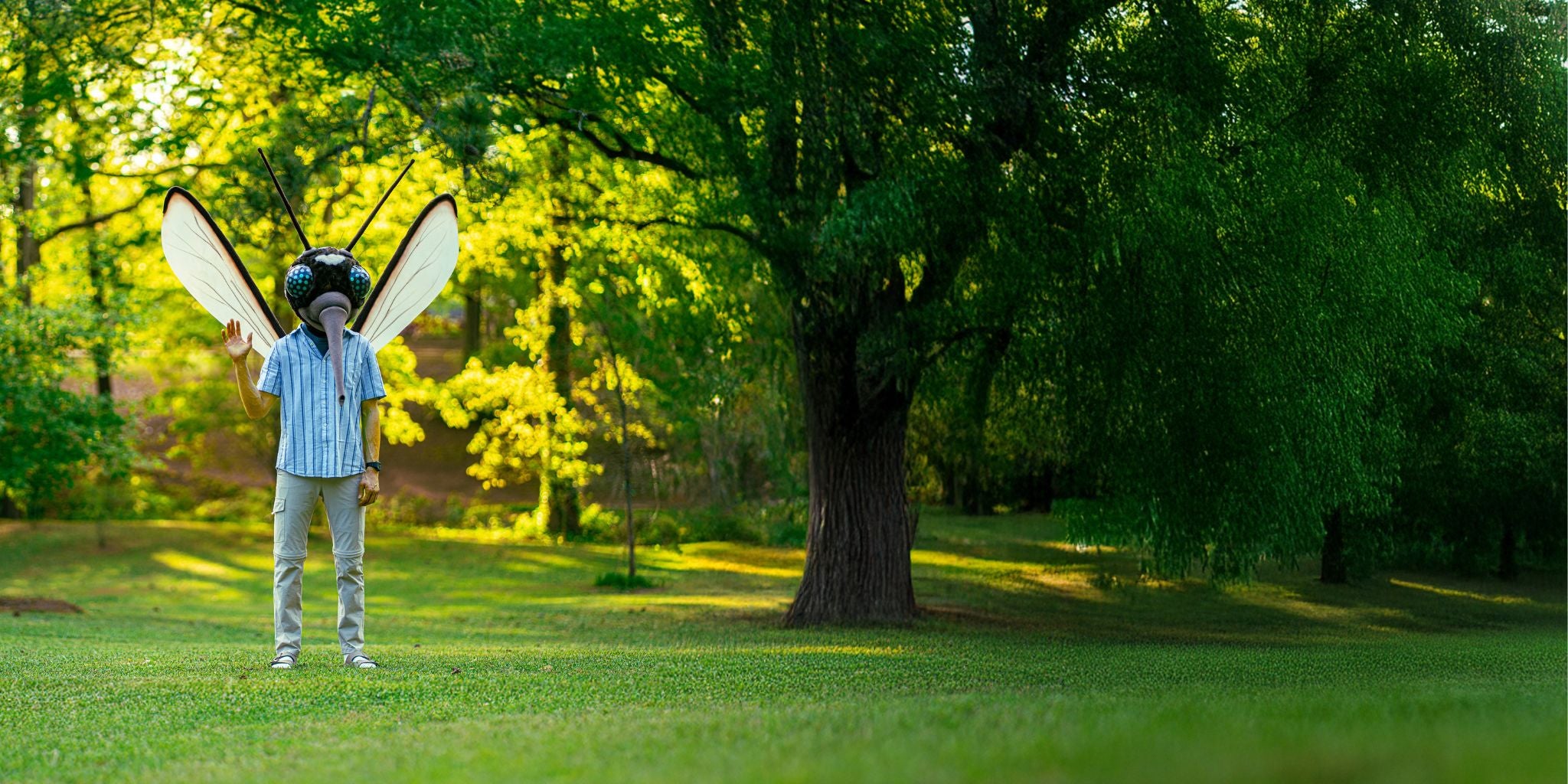 Skeeter, our mascot, has a human body with a mosquito head and wings. He's waving in the distance because he has healthy boundaries. The background is a park with grass and trees.