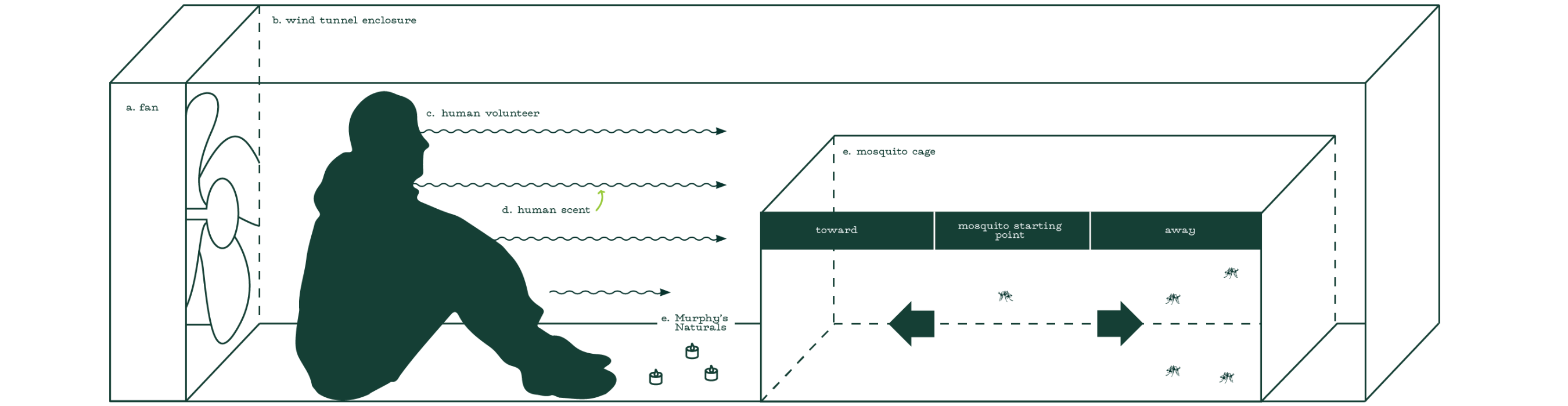 graphic depicting tealight efficacy testing graphic